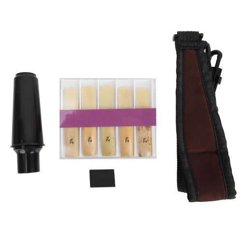 Ensemble D'accessoires Pour Saxophone 4 En 1, Bec, Protege-Bec, Anches, Sangle De Cou (Tenor)