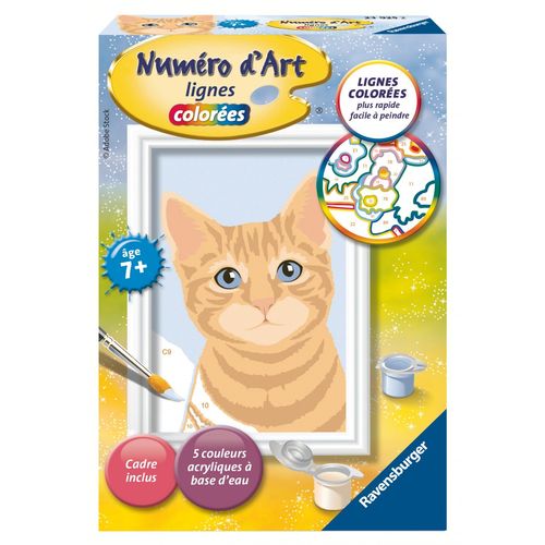 Artistique Numéro D'art - 8x12cm - Chat Roux