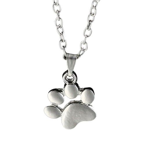 Collier Pendentif Clavicule En Alliage Pour Femme, Accessoire De Bijouterie (Argent)