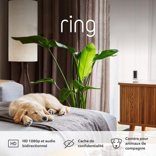 Caméra Intérieure (Indoor Camera 2E Gén.) | Caméra De Surveillance Wifi Sur Secteur Pour Animaux, Vidéo Hd 1080P, Audio Bidirectionnel, Cache De Confidentialité | Essai Home Gratuit 30 J.