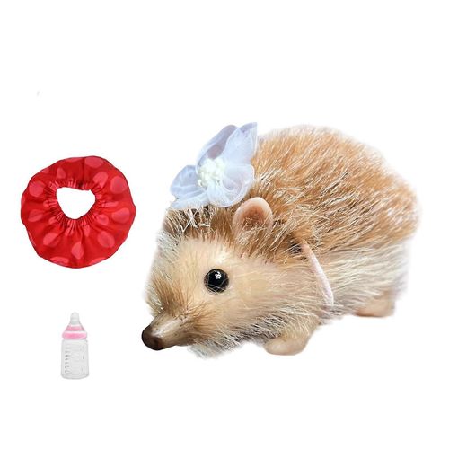 Poupée hérisson réaliste de 12,7 cm, jouet réaliste, animal mignon, pour fête, anniversaire, vacances-Boîte blanche C