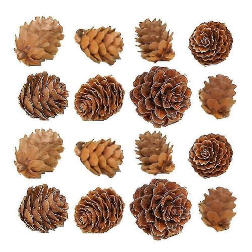 Lot De 100 Mini Pommes De Pin Décoratives Rustiques À Faire Soi-Même, Artificielles, À Suspendre