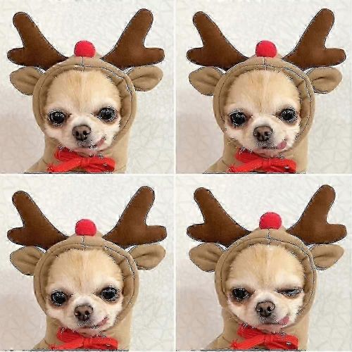 Sweat à capuche pour chien, vêtement mignon pour chien, vêtement chaud pour petit, moyen et grand chien, chat, chihuahua-yujia