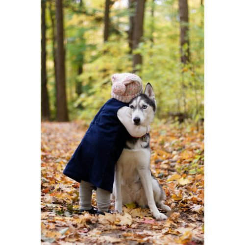 Chien Adulte Et Senior Au Poulet Frais En 12kg.Spécial Chien Difficile Sans Cereales.
