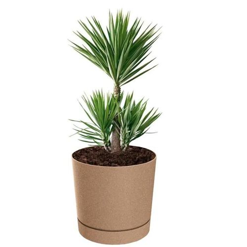 Pot De Fleurs Avec Couvercle Et Soucoupe, Rond, Ø 40 Cm, H 38, Mat, 35 L, Marron