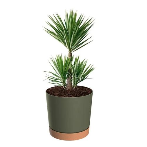Pot De Fleurs Rond Avec Base Ø 40 Cm H 38 Mat 35 L Vert