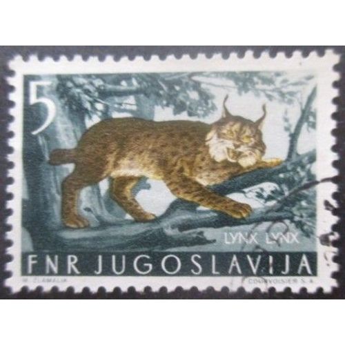 Yougoslavie N°644 Lynx Oblitéré
