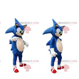 Sonic Hedgehog Mascotte Costume Taille D'adulte - Cdiscount Jeux - Jouets