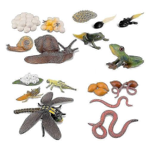 Cycle de vie de la grenouille, de l'escargot, du ver de terre, de la libellule, de l'?uf de têtard à la grenouille, safariologie, kit de figurines d'amphibiens, projet scolaire