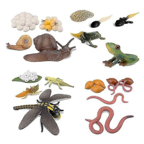 Cycle de vie de la grenouille, de l'escargot, du ver de terre, de la libellule, de l'?uf de têtard à la grenouille, safariologie, figurines d'amphibiens, kit de jouets, projet scolaire, JP
