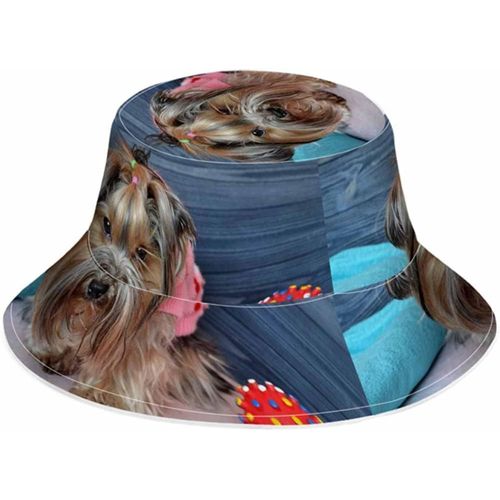 Chapeau Seau De Pêcheur Fluorescent, Chapeau De Soleil Yorkshire Terrier, Vêtements Assis À Proximité, Jouet Balle Pliable Pour L'extérieur, Unisexe