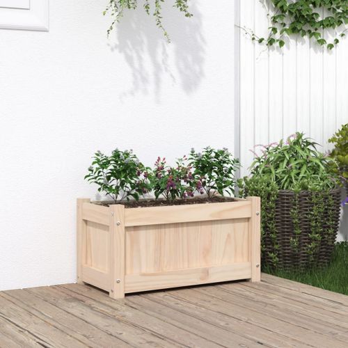Vidaxl Jardinière D'extérieur 60x31x31 Cm Bois De Pin Massif