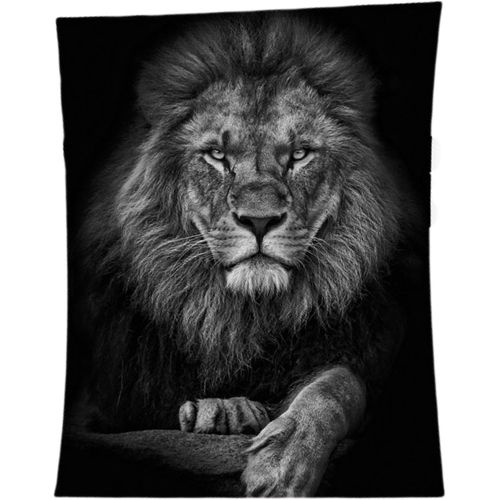 Checarzhn--No1-Couverture Polaire Noire 150 X 200 Cm Avec Lion - Moelleuse Pour Adultes Et Enfants - Xxl, C D'automne - Couvre-Lit Pour Canapé