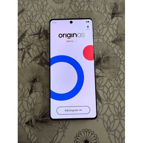 Vivo X100 Pro 256 Go Blanc