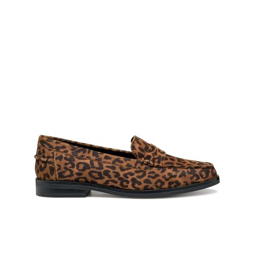 Chaussures Mocassins Geox Cloride