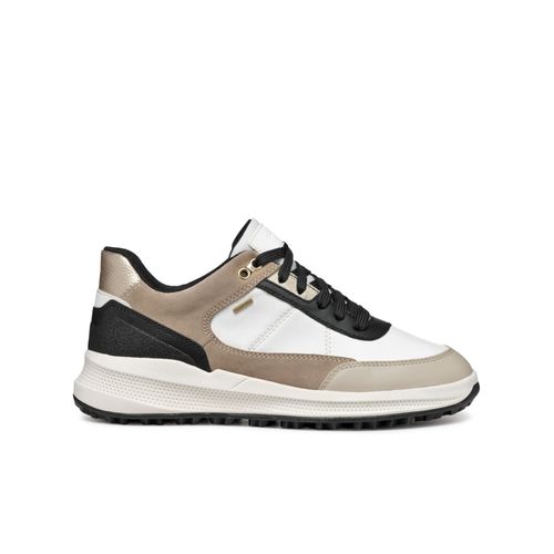Chaussures Baskets Geox Pg1x