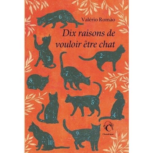 Dix Raisons De Vouloir Être Chat