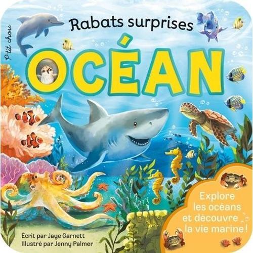 Océan - Explore Les Océans Et Découvre La Vie Marine !