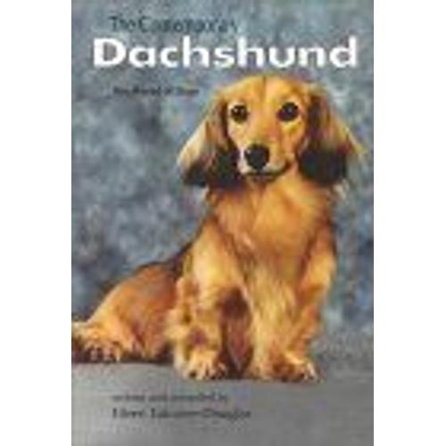 Contemporary Dachshund World Of Dogs