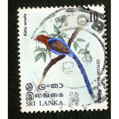 Timbre Oblitéré Sri Lanka, Kitta Ornata, .10