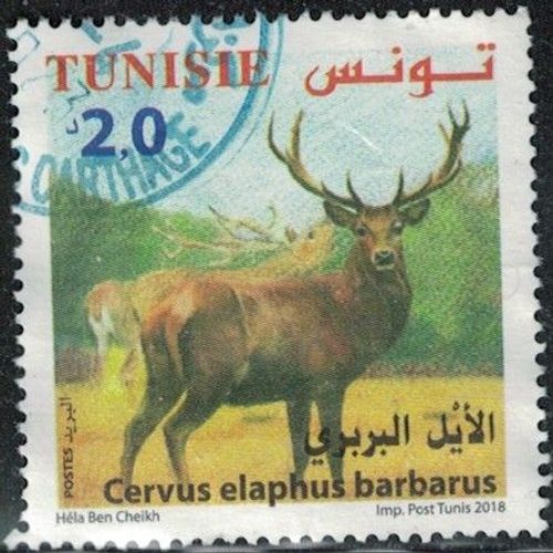 Tunisie 2018 Oblitéré Used Animal Cerf De Barbarie Cervus Elaphus Barbarus Y&t Tn1877 Su