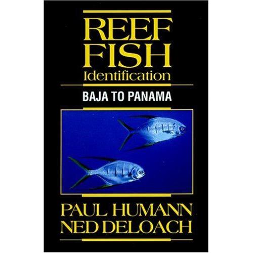 Reef Fish Identification : Baja To Panama