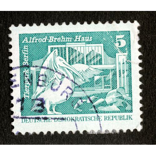 Timbre Oblitéré Deutsche Demokratische Republik, Tierpark Berlin Alfred-Brehm-Haus, 5