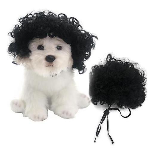 Perruques pour chiens et chats, Costumes de Cosplay amusants, perruques réglables pour animaux de compagnie, pour Halloween, noël, séances Photo, cheveux noirs bouclés