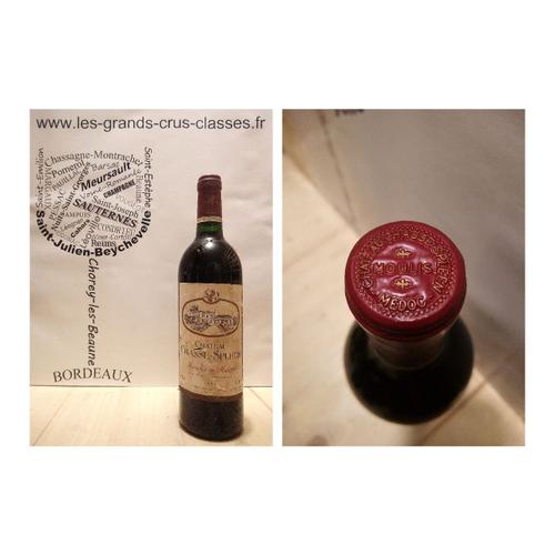 Château Chasse-Spleen 1994 - Moulis - 1 X 75 Cl - Rouge