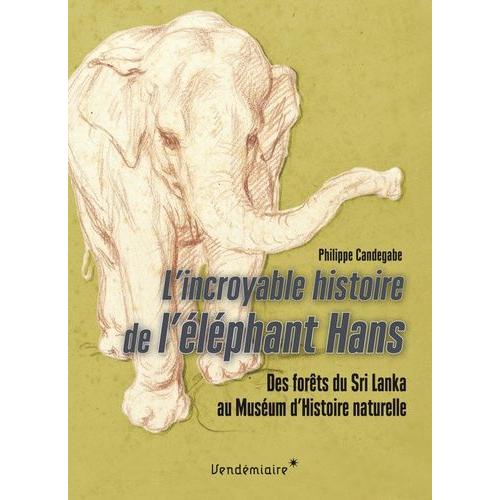 L'incroyable Histoire De L'éléphant Hans - Des Forêts Du Sri Lanka Au Muséum D'histoire Naturelle