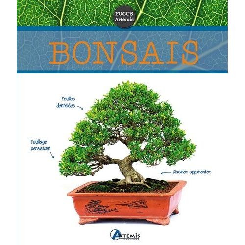 Bonsaïs
