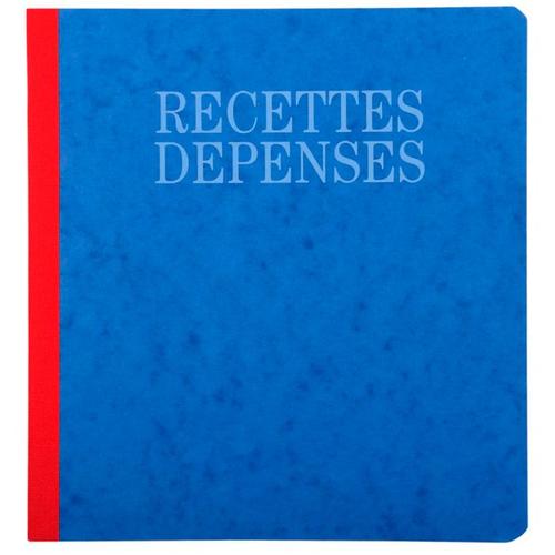 Piqûre 21x19cm Recettes-Dépenses 80 Pages - Blanc - X 5 - Exacompta