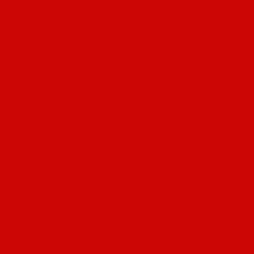 POK BOIS : Peinture Bois glycéro microporeuse intérieur extérieur 1L - RAL 3020 Rouge signalisation