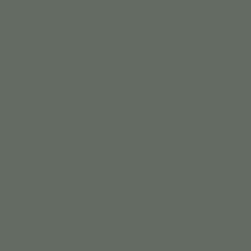POK BOIS : Peinture Bois glycéro microporeuse intérieur extérieur 1L - RAL 7005 Gris souris