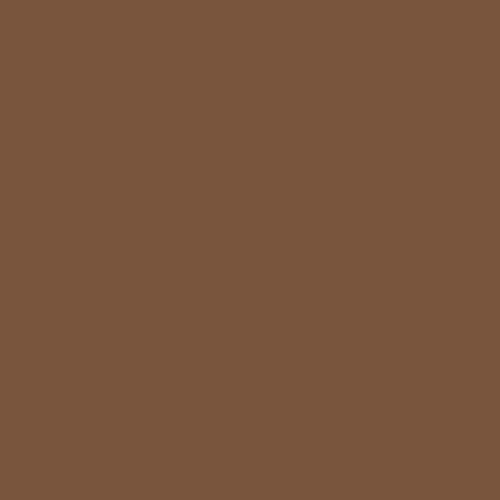 POK BOIS : Peinture Bois glycéro microporeuse intérieur extérieur 1L - RAL 8024 Brun beige