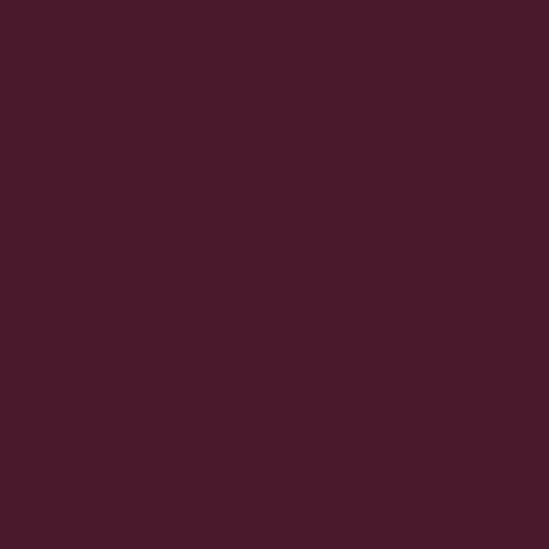 POK BOIS : Peinture Bois glycéro microporeuse intérieur extérieur 2,5L - RAL 4007 Violet pourpre