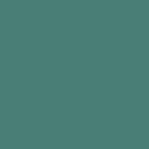 POK BOIS : Peinture Bois glycéro microporeuse intérieur extérieur 2,5L - RAL 6033 Turquoise menthe