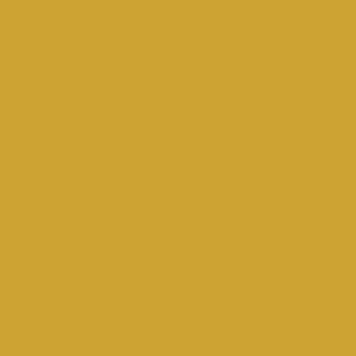 POK BOIS : Peinture Bois glycéro microporeuse intérieur extérieur 10L - RAL 1004 Jaune or