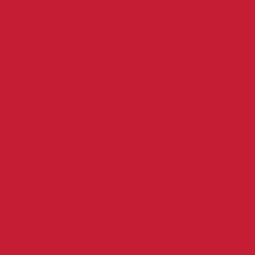 POK BOIS : Peinture Bois glycéro microporeuse intérieur extérieur 10L - RAL 3027 Rouge framboise