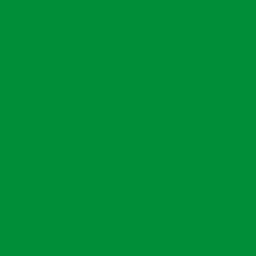 POK BOIS : Peinture Bois glycéro microporeuse intérieur extérieur 10L - RAL 6037 Vert pur