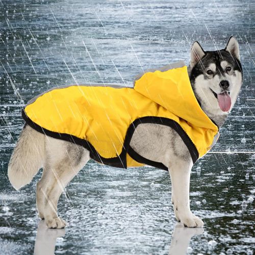 Imperméable?Xl? Imperméable Pour Chien 2 En 1,Combinaison Légère Pour Animaux De Compagnie Chien À Capuche Poncho De Pluie Respirant À Couverture Intégrale Pour Petits Chiens De Taille Moyenne