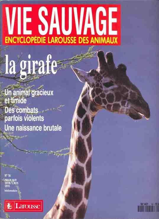 girafe - LAROUSSE