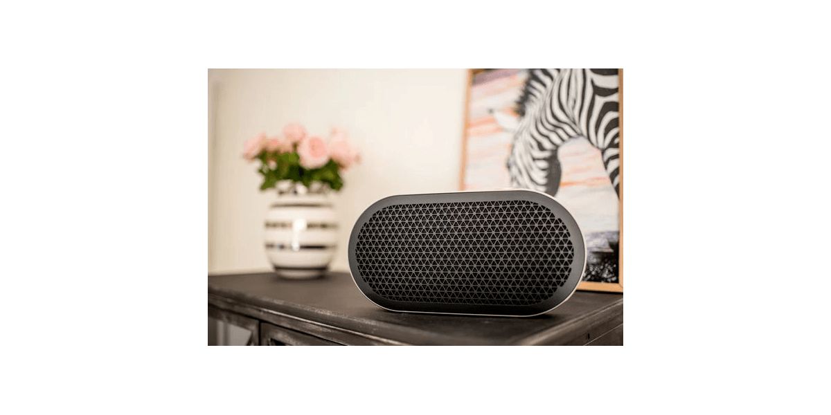 Enceinte Bluetooth Portable Dali Katch G2 Noir image 1 | Rakuten