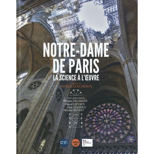 Notre-Dame De Paris - La Science À L'oeuvre