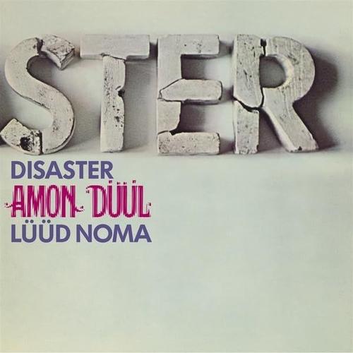 Disaster (Luud Noma) [Vinyl]