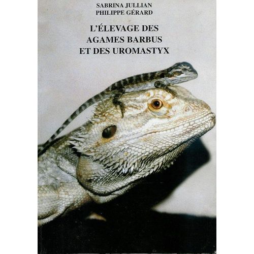 L'élevage Des Agames Barbus Et Des Uromastyx