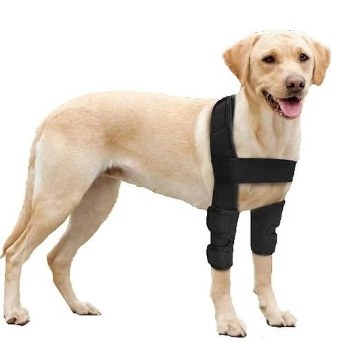 Attelles De Jambe Avant De Chien Avec Manchon De Soutien, Enveloppes Réfléchissantes De Compression Des Pattes De Canine, Aide À Soulager Les Blessures Ligamentaires, Les Entorses L