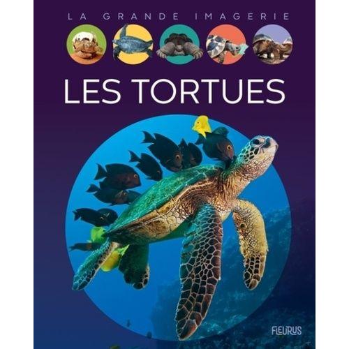 Les Tortues