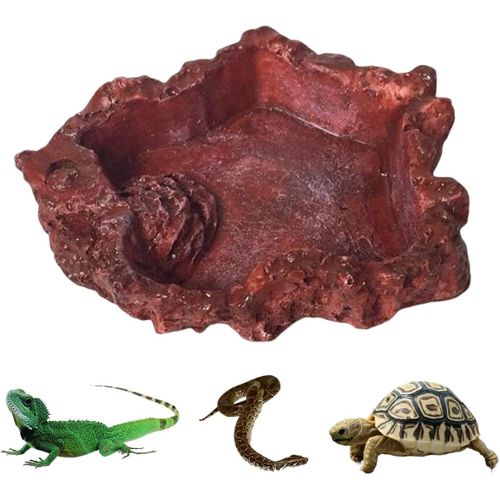 Bol D'alimentation Pour Reptiles, Bol De Nourriture En Résine Pour Reptiles, Bol De Nourriture Et D'eau Pour Animaux De Compagnie Pour Serpent Grenouilles Gecko Tortue Lézard Caméléon Iguane