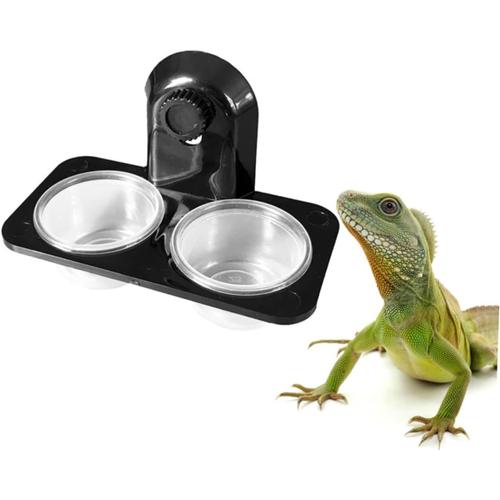 1 Pc Trucs Pour Animaux De Compagnie Reptile Tortue Fournitures Mangeoire Pour Reptiles Mangeoire Pour Gecko Mangeoire Pour Lézard Rebord D'alimentation Bassin De Gelée Scarabée